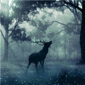 Meet your Posher, Shania